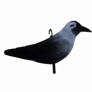 Lokvogel Kauw 32 cm incl. pin