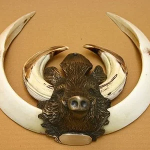 Keiler Trofee afdekking Keilerkop Brons