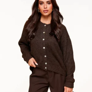 Donkerbruine Basic Gebreide - Vest